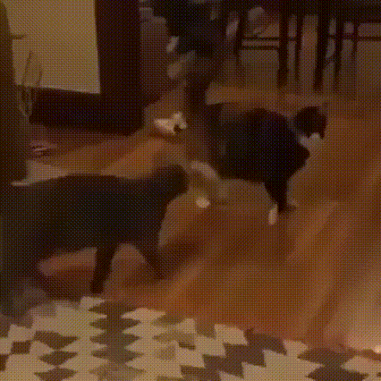 2BgrKSD