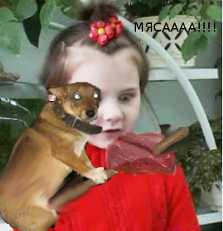 снимок8
