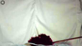 -slow-motion-физика-наука-2401985