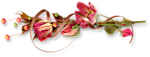 0_15347f_ebee28f6_S
