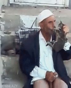 sekretnyerazdelykotikdrochka2443611_yapfiles.ru