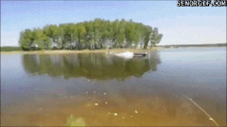 adaa3568fc7c08f3ff966969ae1