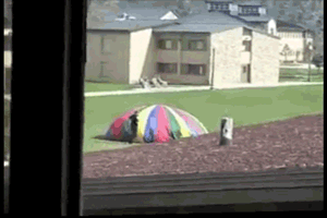 1930926320_1746913479