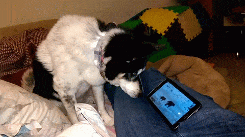 1443727979_1551619594