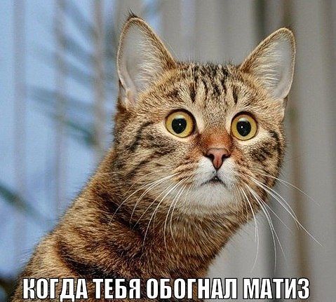 getImage (63)