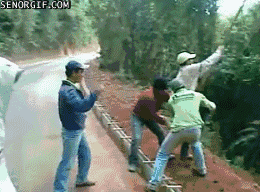 _darwin-awards9_tarzan