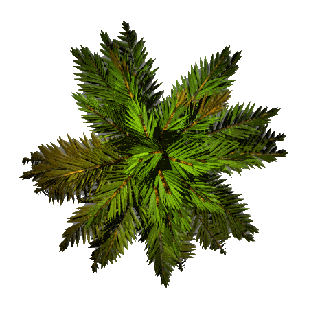 palm_final_RMA