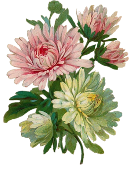 0_199d57_c9ede2c8_orig