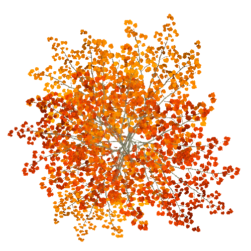 0_e8e8c_2ce449d2_orig