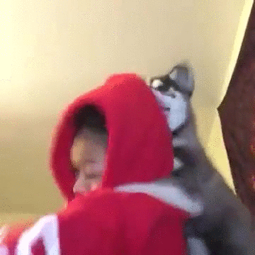 Best Reversed Gif - Imgur