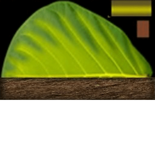 5_yapfiles