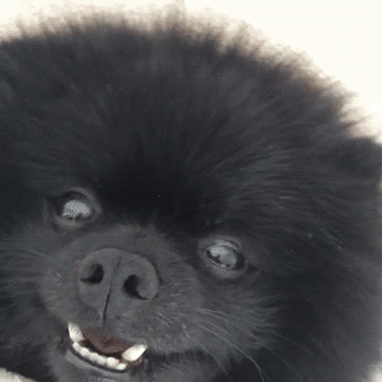 tumblr_niby5zDvbF1rsxqqio1_400