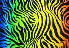 521212__zebra-stripes_t