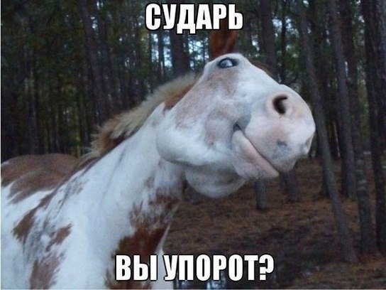 1387044356_sudar-vy-uporot