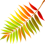 117680797_large_19__3_