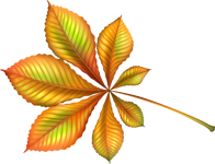 125185157________134116_d3cf8e91_orig