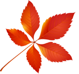 125188536_0_136f94_6e753e92_orig