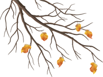 125184858__eb970_59ac110d_orig