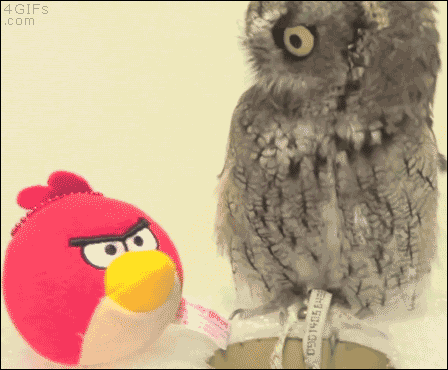 gifs_13_4_yapfiles_ru