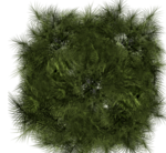 0_e2e03_8f03b3c1_S