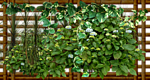 0_e2e04_16ac33f2_S