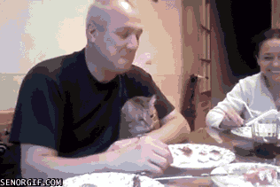 gifs_20