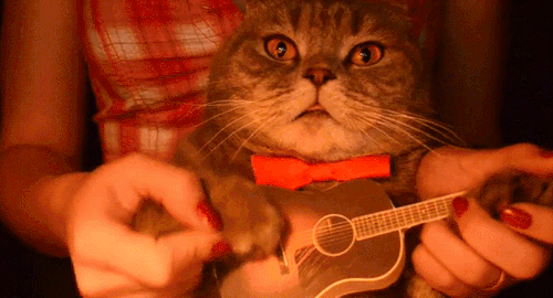 _cat_я вам спою
