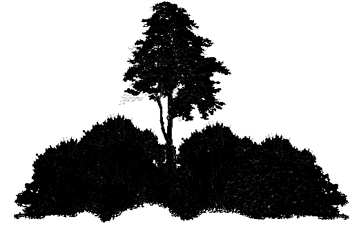 06iykqo31n