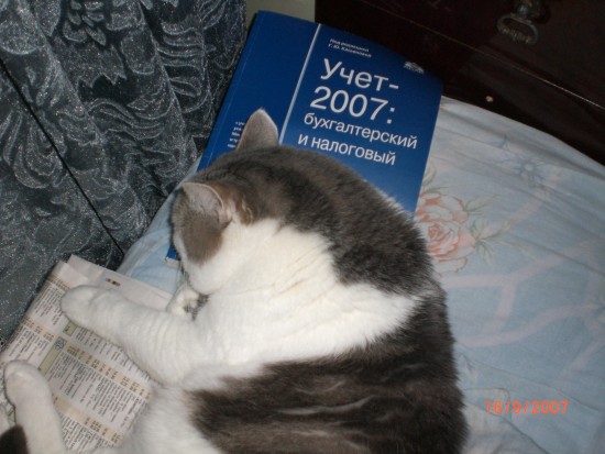 CIMG0004