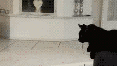 3f63d8a85bbf8554a42ecc22028da7d8