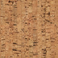cork_2[1]