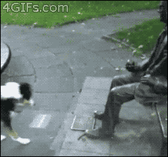 some_of_the_best_gifs_of_mans_best_friend_20