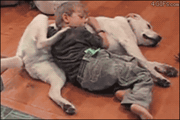 some_of_the_best_gifs_of_mans_best_friend_38