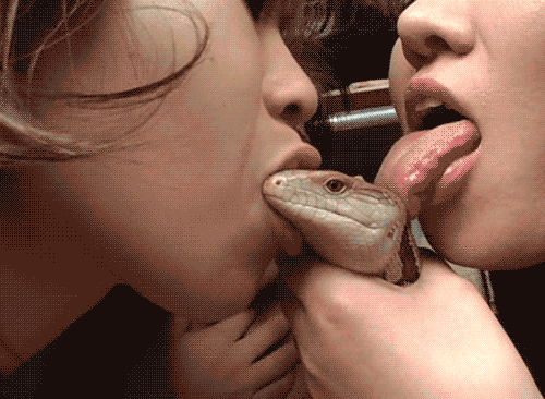 tumblr_mkjy0ckmWR1rnuf8vo1_500