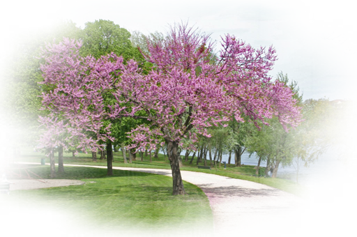 0001_hatternelk_tajkep())