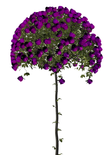 0_70b45_38832473_XL.1png