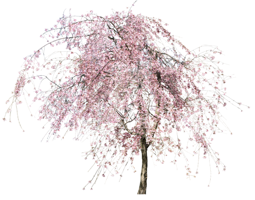 0_54bb2_e97c9f43_XL.1png