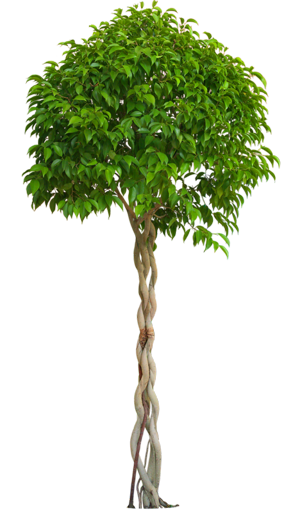 5.1png