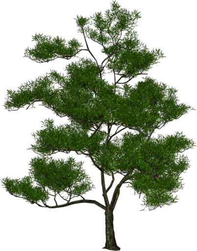 0_dd3fe_a97c71d9_orig.1png