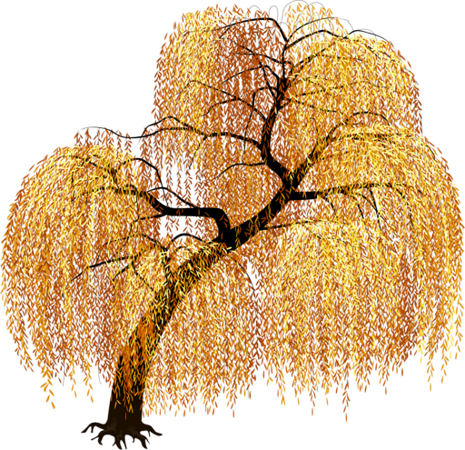 453ssYhbfM.1png