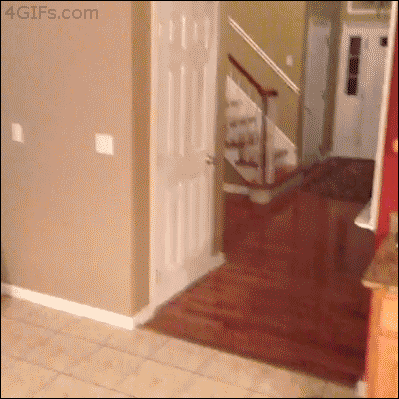 When scaring Dad goes wrong. - Imgur