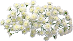 5d7008249477.1png