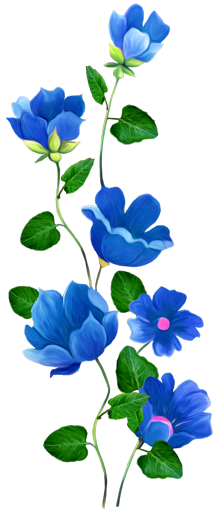 4247471_2.1png