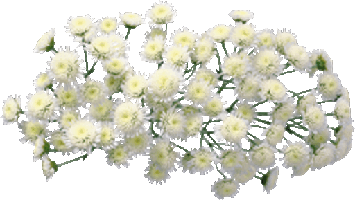 5d700824947