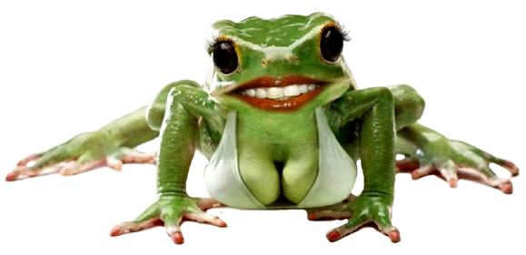 жаька