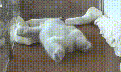 понедельник