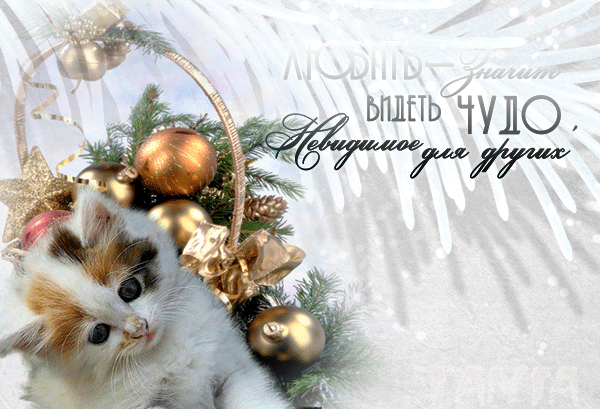 -имени-1-hj