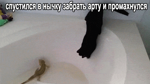 Gs0WKOv_1