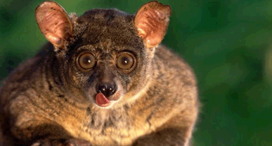 Интересненько