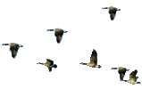 252390_e605b